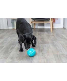Trixie Snack ball, plastikas, ø 7.5 cm, mėlynas