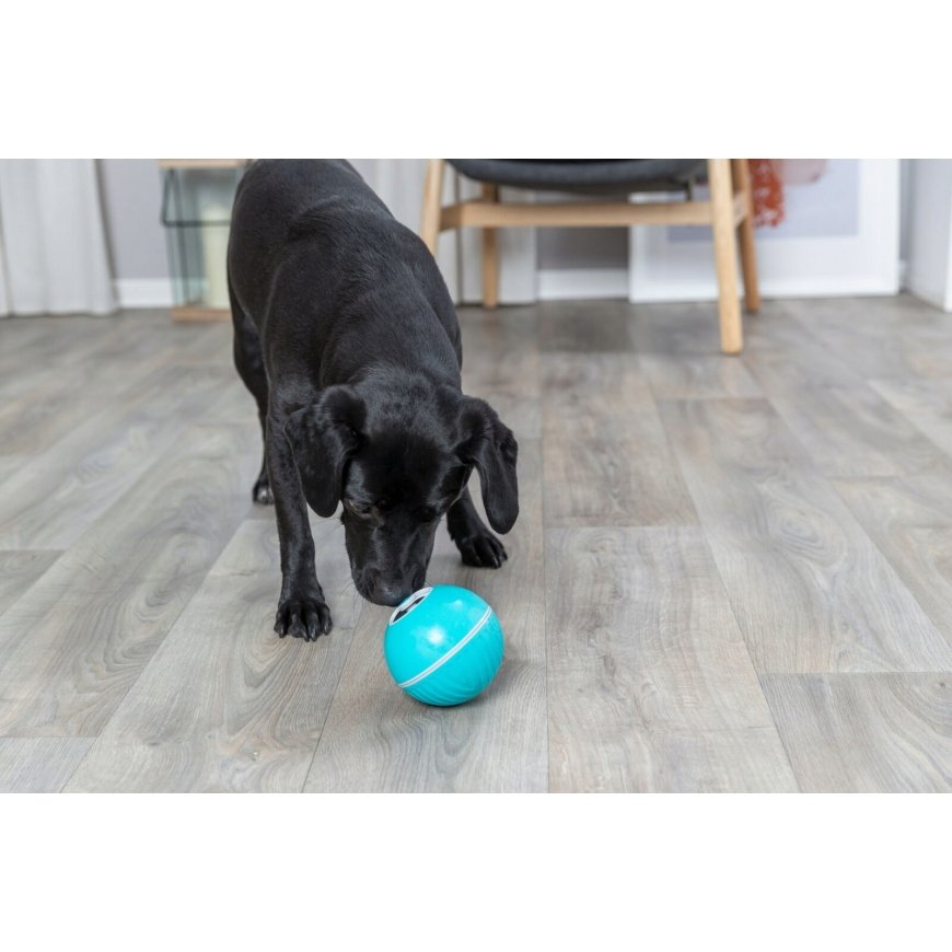 Trixie Snack ball, plastikas, ø 7.5 cm, mėlynas