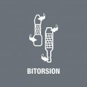 bitas 1/4" BITORSION su deimantine danga, dydis TX20/25mm, Wera [05066104001]