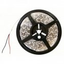 Epistar 2835 20W 6500K IP20 120LED|m 80lm|W 5m Eurolight Epistar 2835 20W 6500K IP20 120LED|m 80lm|W 5m Eurolight