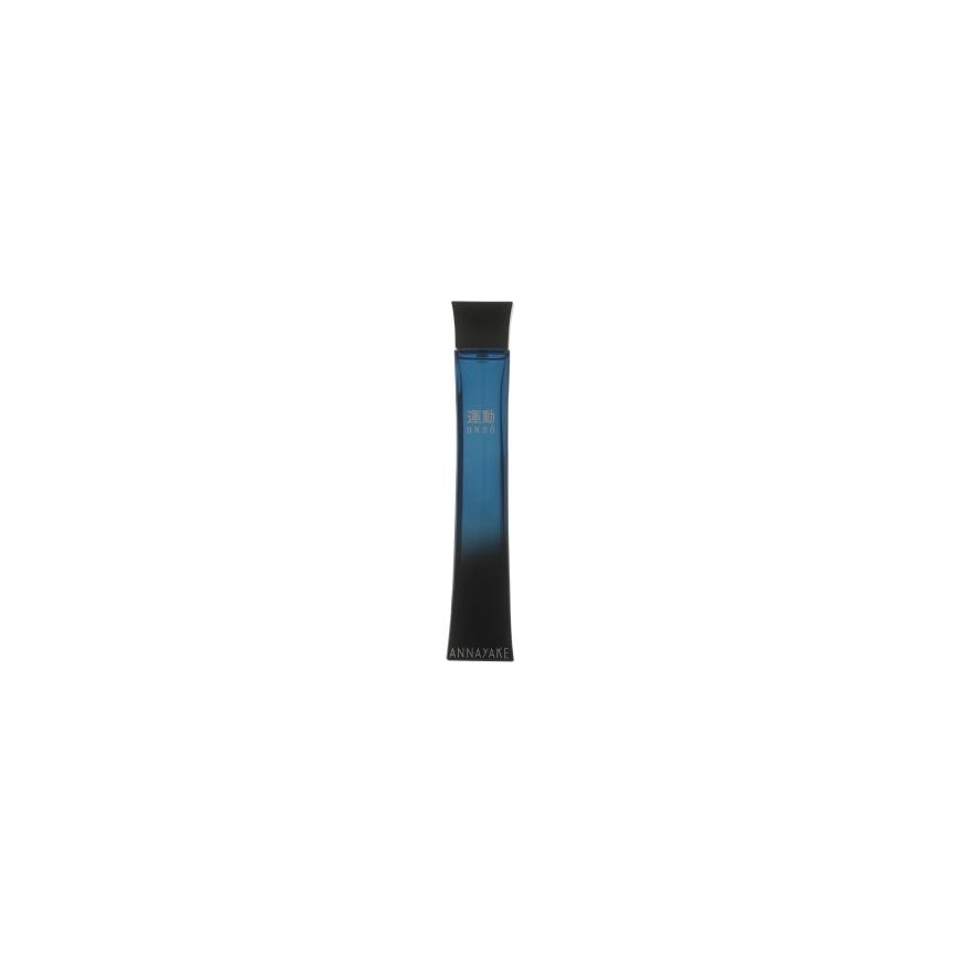 Annayake Undo Pour Homme Eau De Toilette 100 Ml
