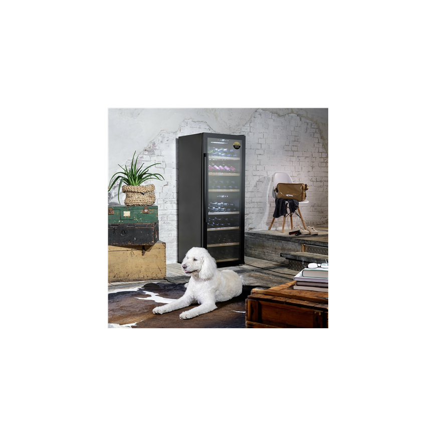Caso | Smart Wine Cooler | Exclusive wine 126 | Energy efficiency class G | Freestanding | Bottle capacity 126 bottles | Cooling – 3