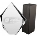 Tryumf 3D engraved glass trophy with case Tryumf 3D engraved glass trophy with case