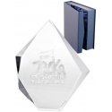 Tryumf 3D engraved glass trophy with case Tryumf 3D engraved glass trophy with case