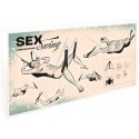Orion Sex swing