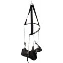 Orion Sex swing
