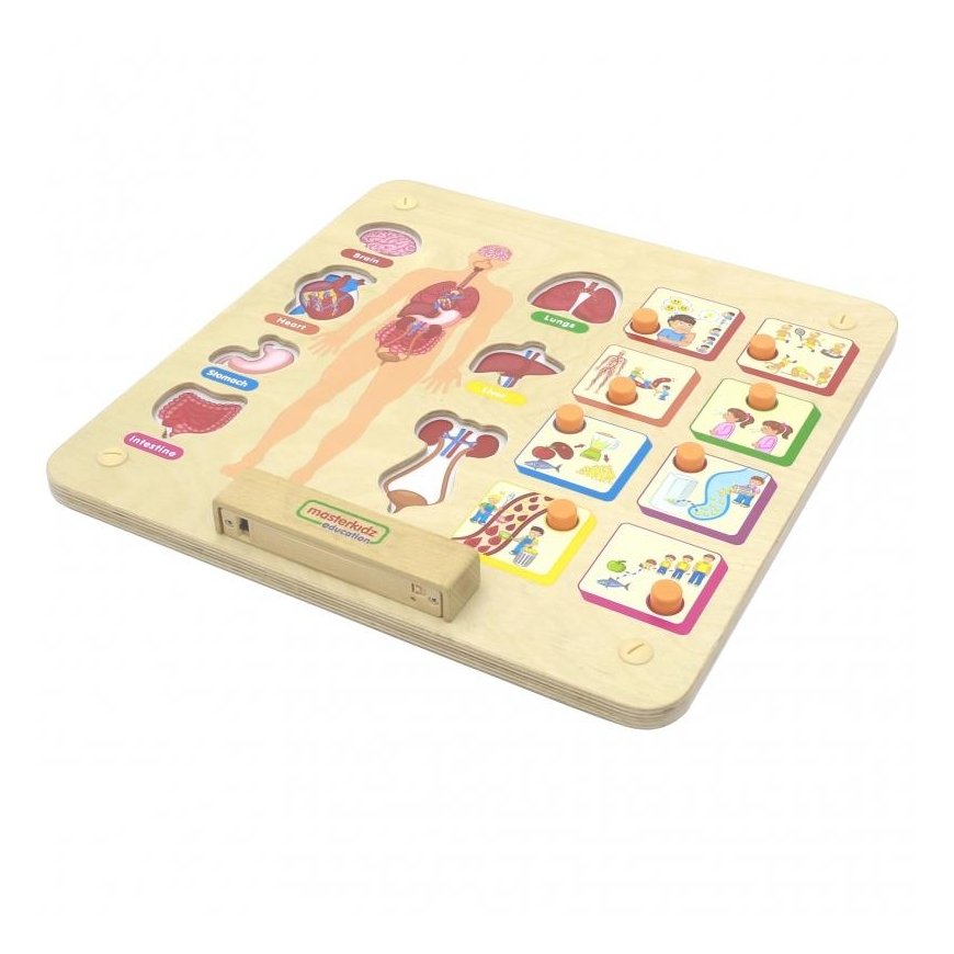Masterkidz Educational board human body system