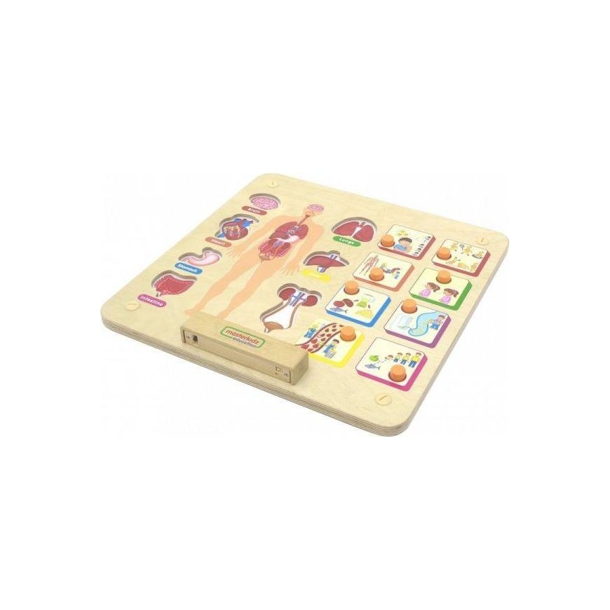 Educational board human body system MASTERKIDZ – 2