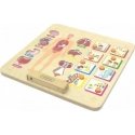 Educational board human body system MASTERKIDZ Educational board human body system MASTERKIDZ