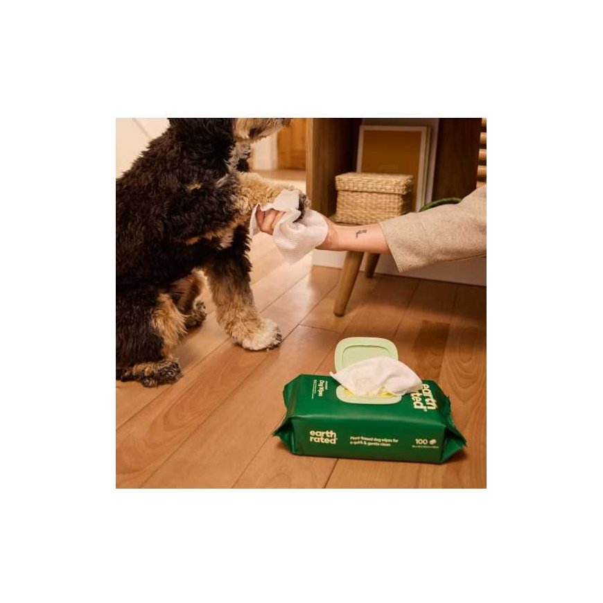 Napkins Earth Rated 100 pcs. – 3