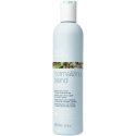 Scalp normalizing shampoo Milk Shake Normalizing Blend Shampoo 300ml