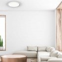 Ceiling lamp MILAGRO LAYLA ML4222, 66 W, LED