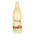 Stapiz Sleek Line Repair Balm šilko balzamas pažeistiems plaukams 1000ml