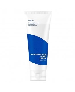 Isntree Hyaluronic Acid Moist Kreminis drėkinamasis kremas su hialurono rūgštimi 100ml