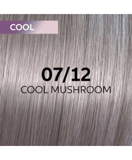 Plaukų dažai Wella Professionals Shinefinity Glaze 60ml