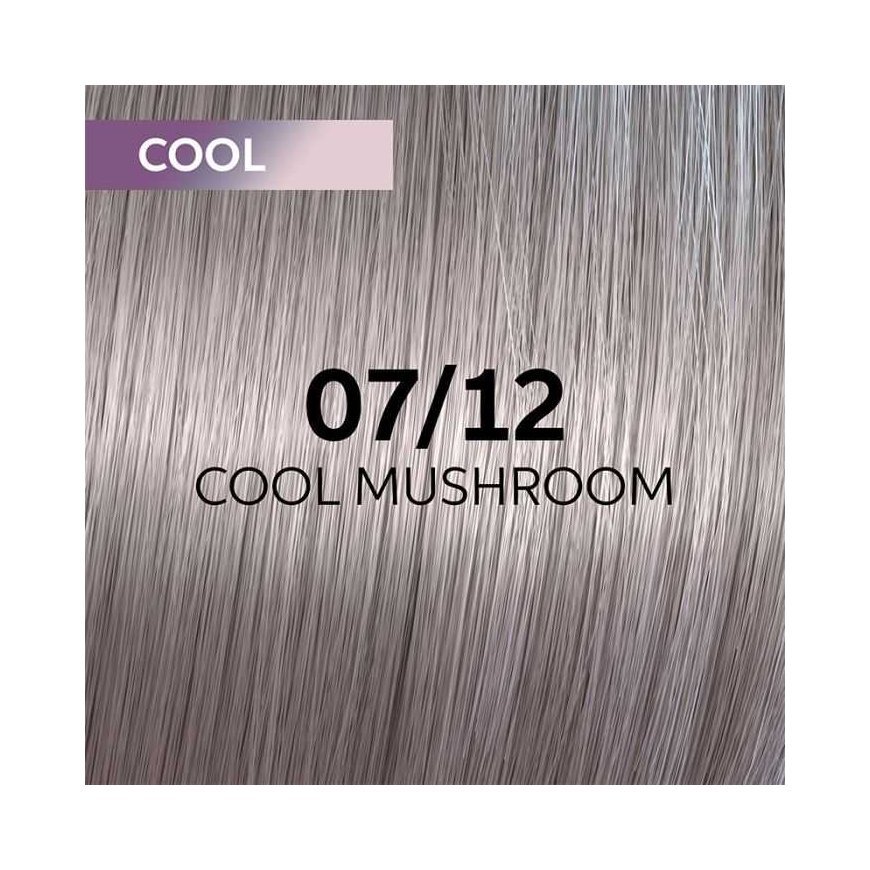 Hair dye Wella Professionals Shinefinity Glaze 60ml