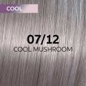 Hair dye Wella Professionals Shinefinity Glaze 60ml