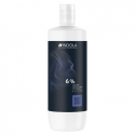Indola Developer 6 1l 23