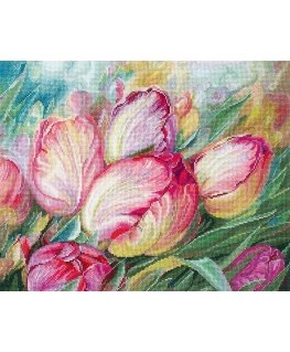 Beldizart Tulips SANT-16