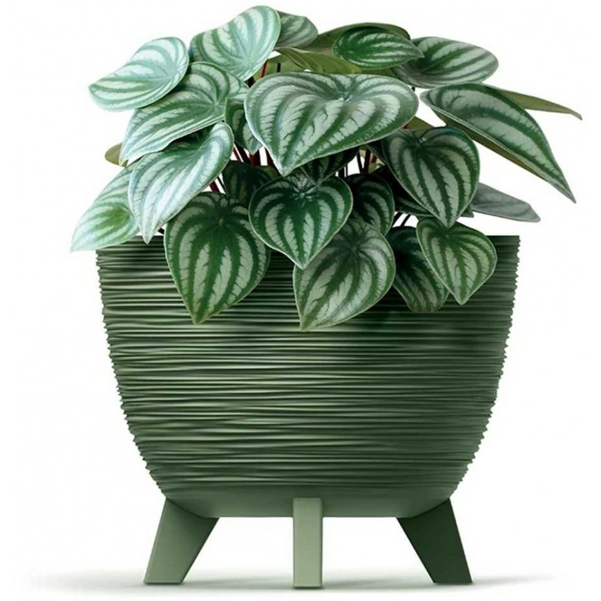 Prosperplast DFUR400-S433 flower pot planter with anthracite legs – 2