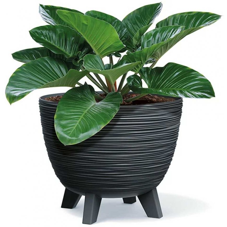 Prosperplast DFUR400-S433 flower pot planter with anthracite legs – 3