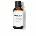 Daffoil Cedar Leaf Essential Oil 50ml