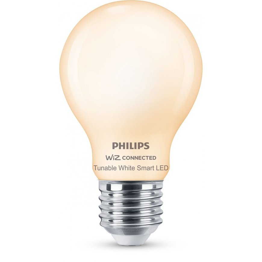 Philips Matinio stiklo lemputė 7 W (ekv. 60 W) A60 E27