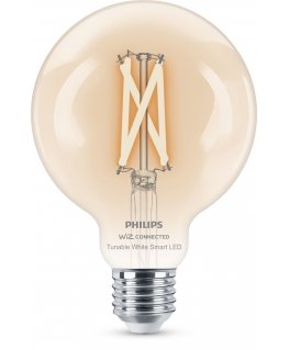 Philips Filament Globe clear 7W (Eq.60W) G95 E27