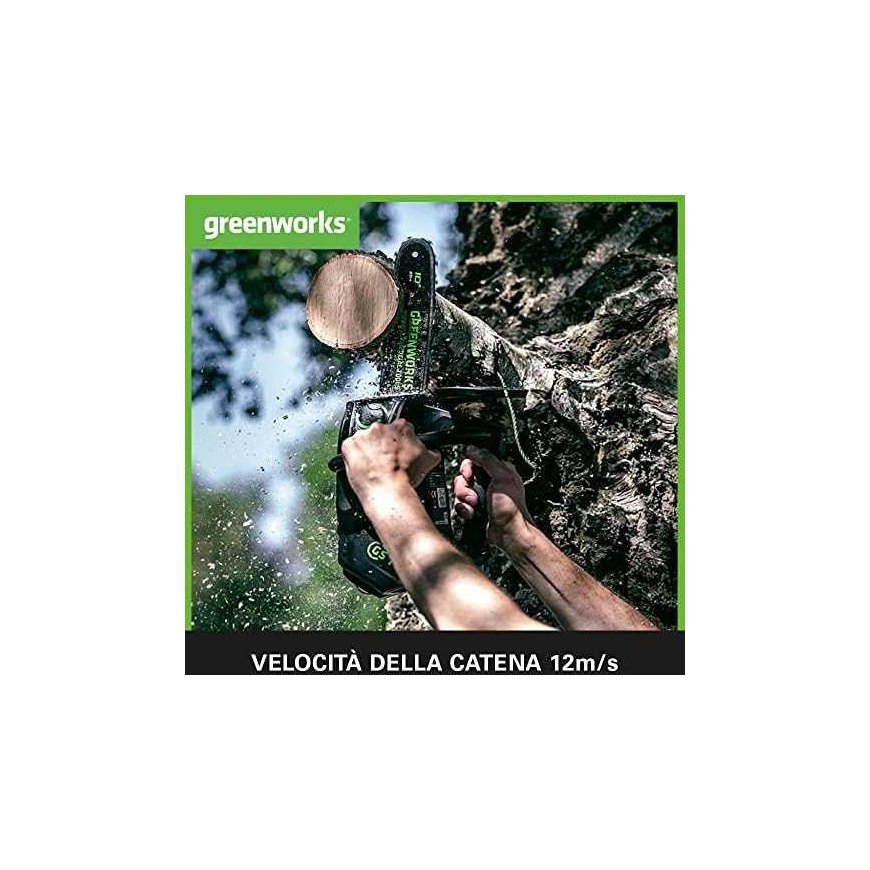 Chainsaw Greenworks GD40TCSK2 40 V 1x2.0 Ah 25 cm band – 4