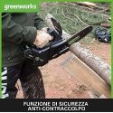 Chainsaw Greenworks GD40TCSK2 40 V 1x2.0 Ah 25 cm band