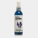 Tot herba 8425284221385 Massaažikreem ja -õli Massaažiõli 100 ml Lavendel Tot herba 8425284221385 Massaažikreem ja -õli Massaažiõli 100 ml Lavendel