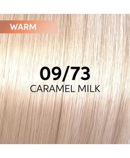 Plaukų dažai Wella Professionals Shinefinity Glaze 60ml