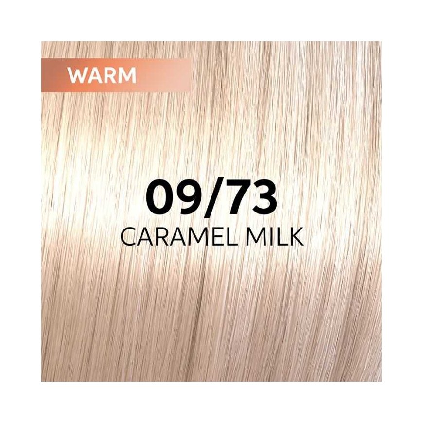 Hair dye Wella Professionals Shinefinity Glaze 60ml