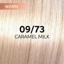 Hair dye Wella Professionals Shinefinity Glaze 60ml