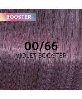 Hair dye Wella Professionals Shinefinity Glaze 60ml
