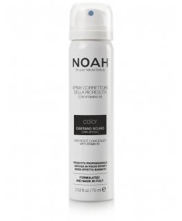 Abril Et Nature Nature Frizz Protect heat-protecting hairspray 100ml