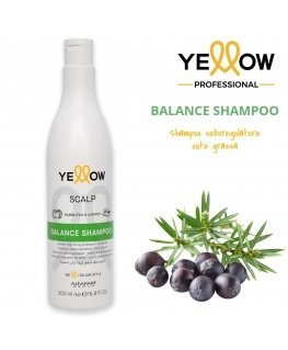 Alfaparf Geltonas Balance Šampūnas 500ml
