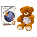 Lean Toys Teddy Bear Sleeping Lights Sounds Night and Day Mode Brown