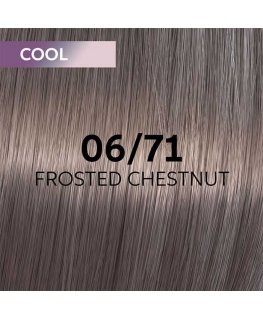 Hair dye Wella Professionals Shinefinity Glaze 60ml