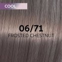 Plaukų dažai Wella Professionals Shinefinity Glaze 60ml