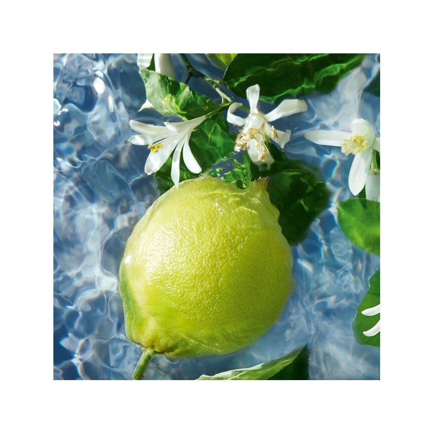 Guerlain Aqua Allegoria Bergamote Calabria 75 ml Naised – 3