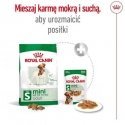 Royal canin shn mini adult bf 8kg Royal canin shn mini adult bf 8kg