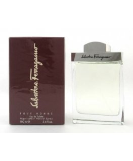 Salvatore Ferragamo Pour Homme Eau de Toilette for men 100 ml