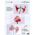 Olympia 9182 laminavimo vokelis 25 vnt Olympia 9182 laminavimo vokelis 25 vnt