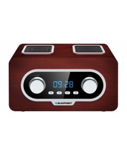 Blaupunkt PP5.2BR radijo imtuvas Nešiojama Ruda