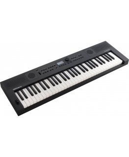 Roland GO:KEYS 5 -kosketinsoitin, harmaa