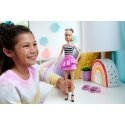 Barbie Fashionistas Doll Barbie Fashionistas Doll