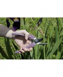 nożyczki florystyczne sedrzemica cienia 10mm, Bahco [P123-LILAC-B6] rękojeści purple