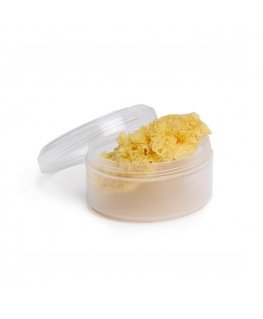Suavinex natural sponge, large size 1 pc