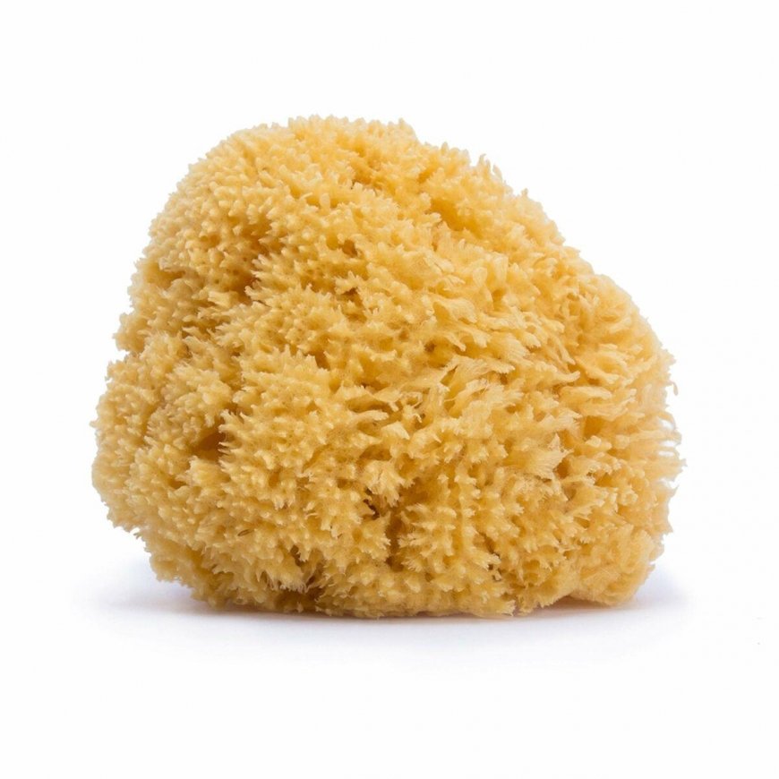 Suavinex natural sponge, large size 1 pc – 2